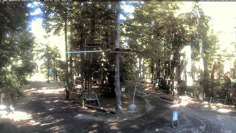 Ontree Park