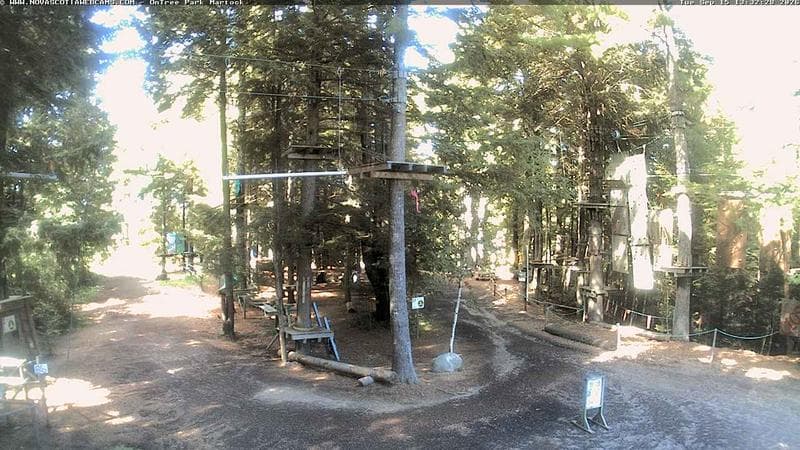 Ontree Park
