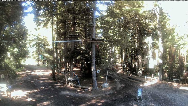 Ontree Park