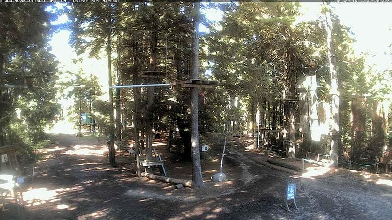 Ontree Park