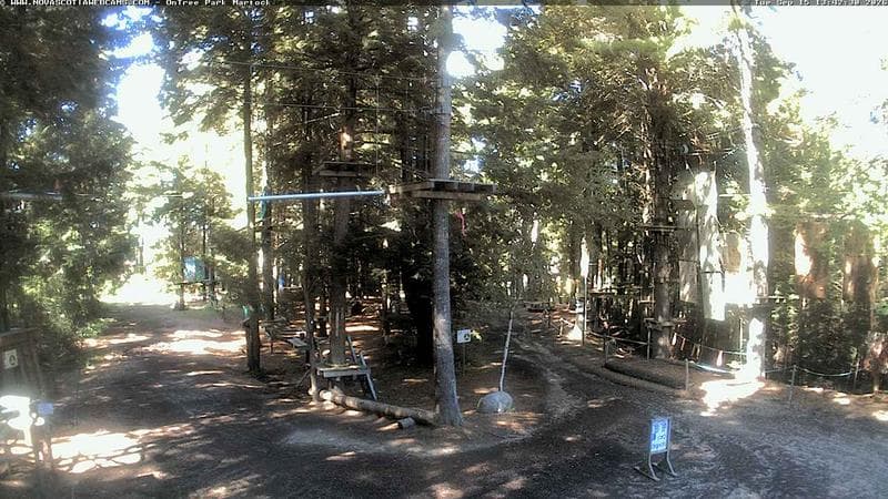 Ontree Park