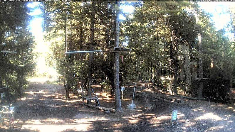 Ontree Park