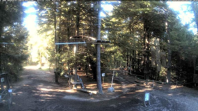 Ontree Park