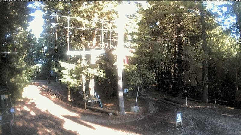 Ontree Park