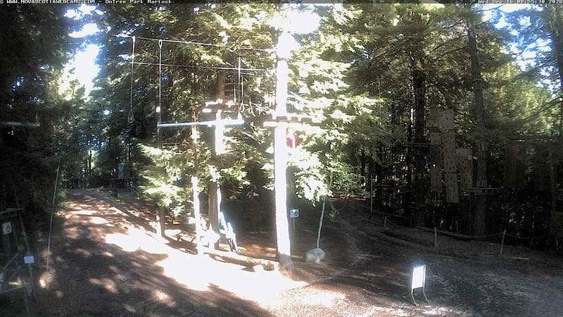 Ontree Park
