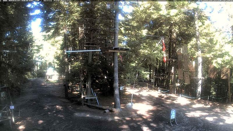 Ontree Park