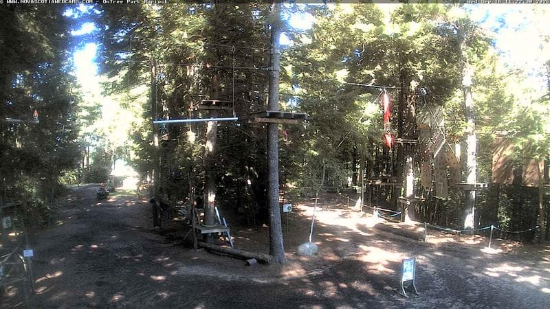 Ontree Park