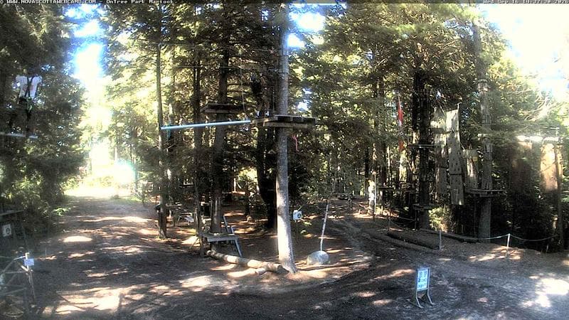 Ontree Park