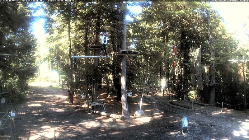 Ontree Park