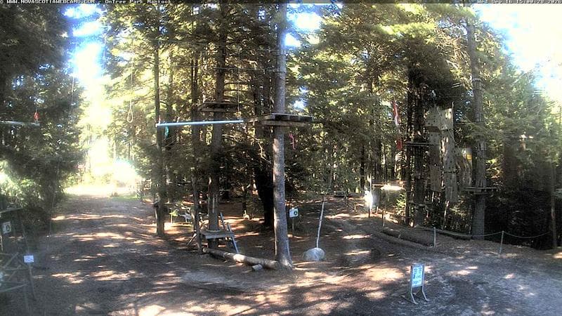 Ontree Park