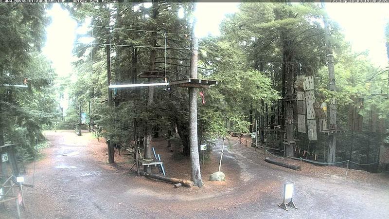 Ontree Park