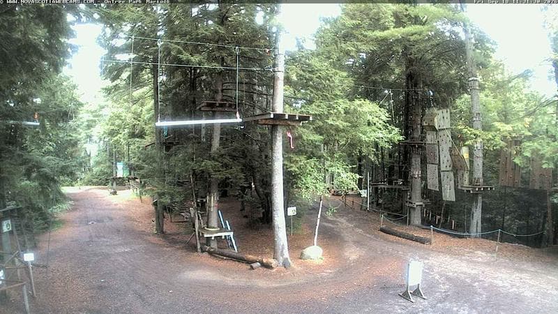 Ontree Park