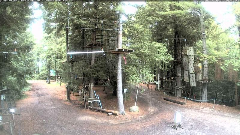 Ontree Park