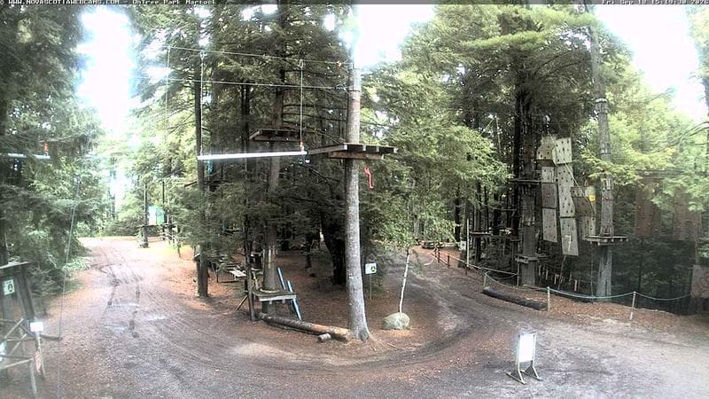 Ontree Park
