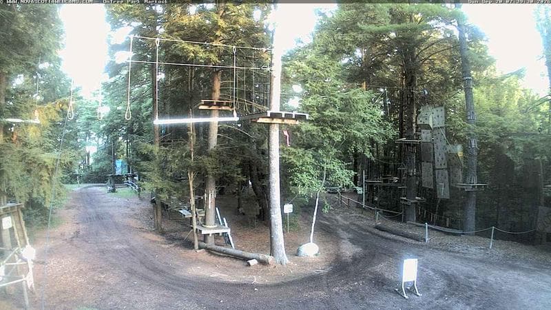 Ontree Park