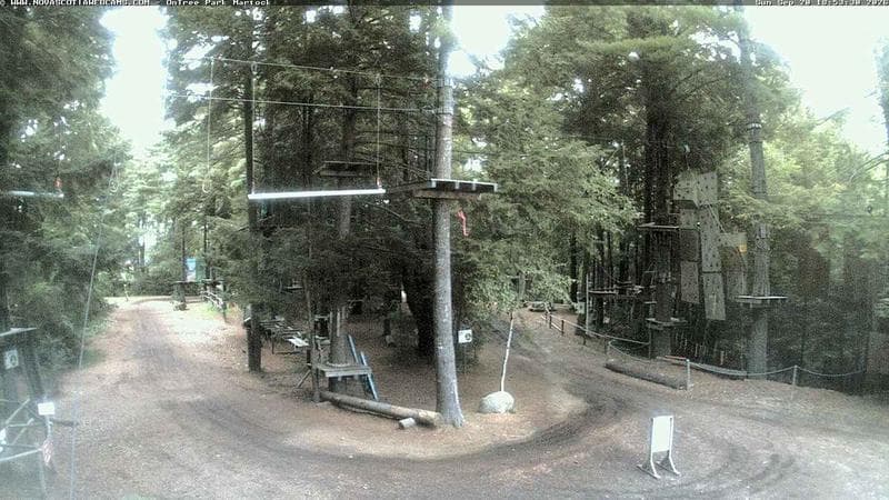 Ontree Park