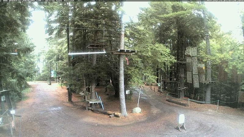 Ontree Park