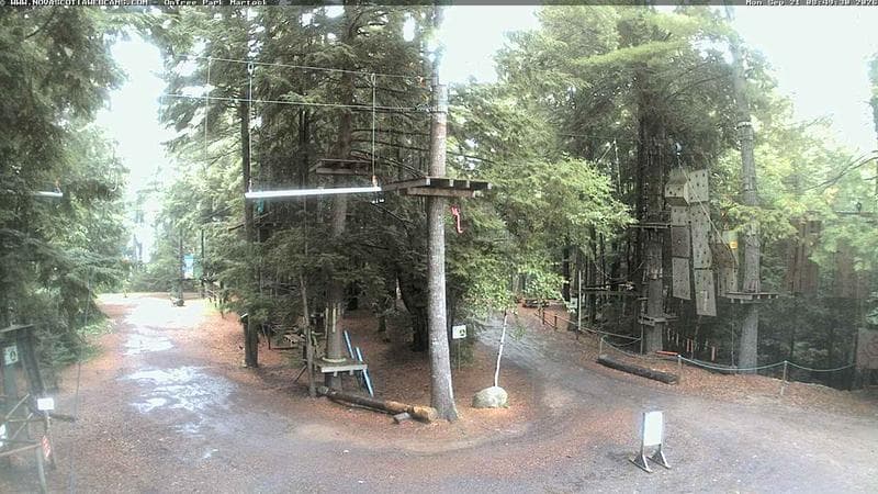 Ontree Park