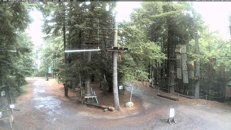 Ontree Park