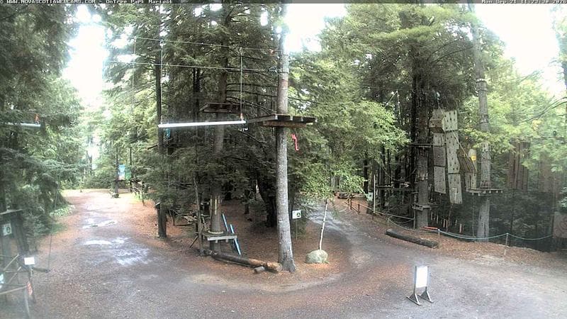 Ontree Park