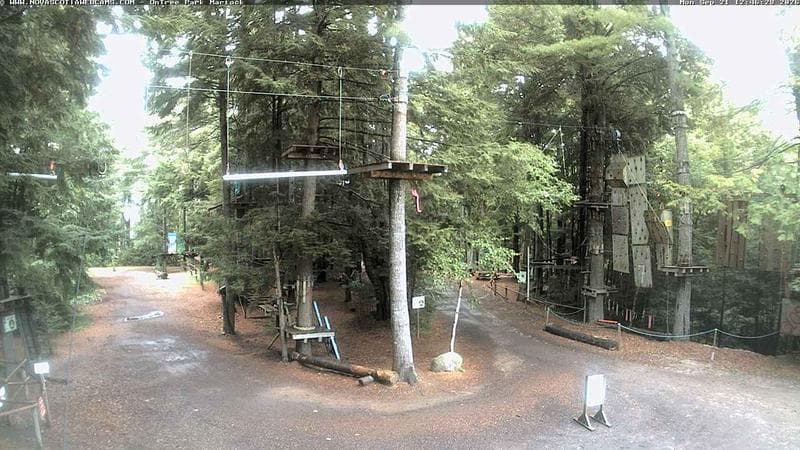 Ontree Park