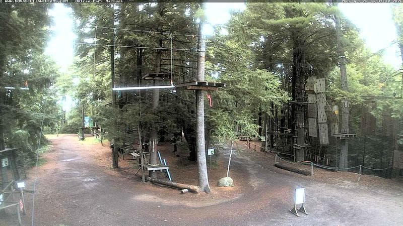 Ontree Park
