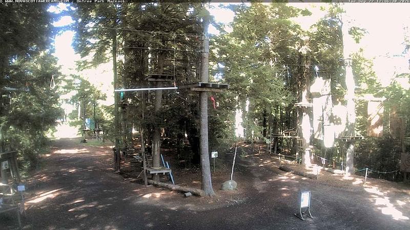Ontree Park