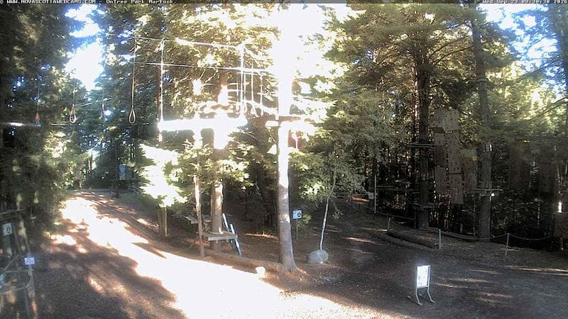 Ontree Park