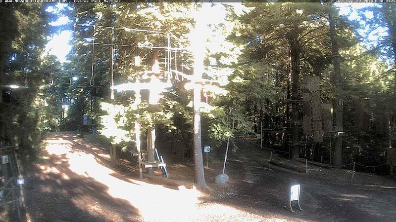 Ontree Park