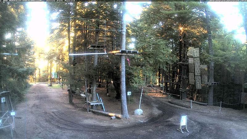 Ontree Park