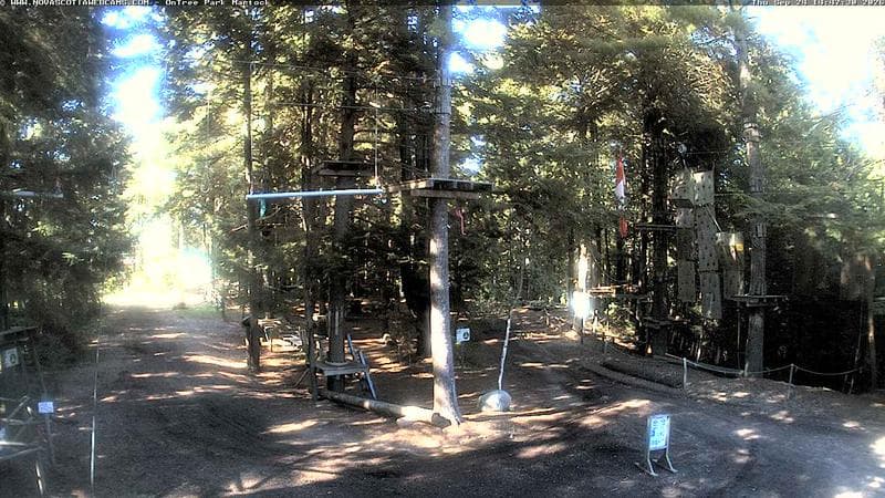 Ontree Park