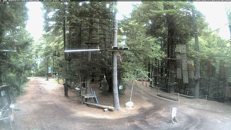 Ontree Park
