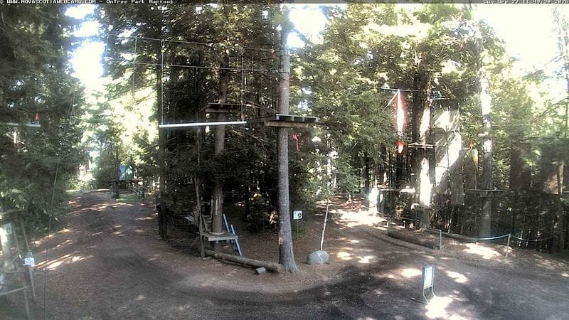 Ontree Park