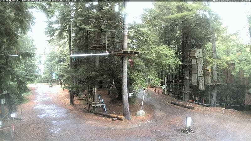 Ontree Park