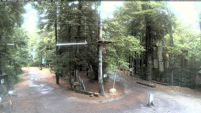 Ontree Park