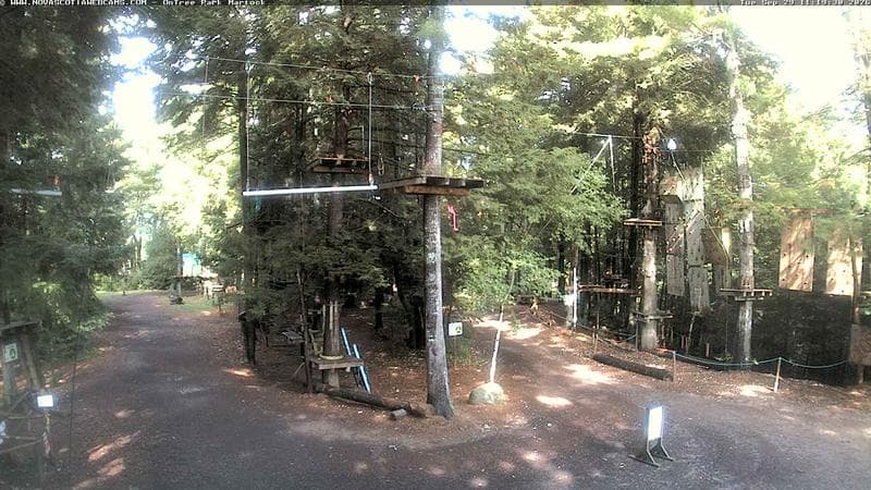 Ontree Park