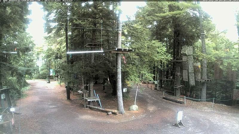 Ontree Park