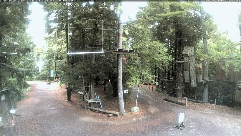 Ontree Park