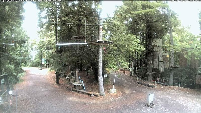 Ontree Park