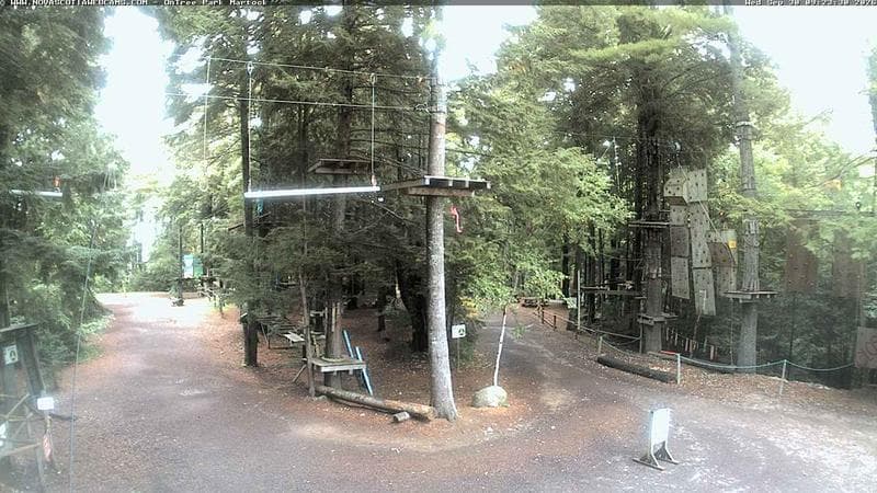 Ontree Park