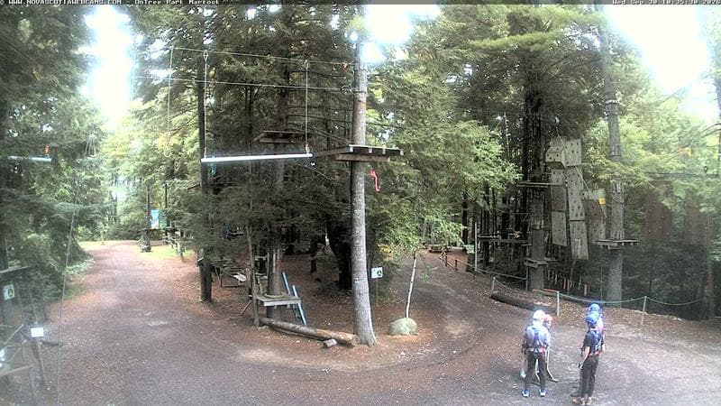 Ontree Park
