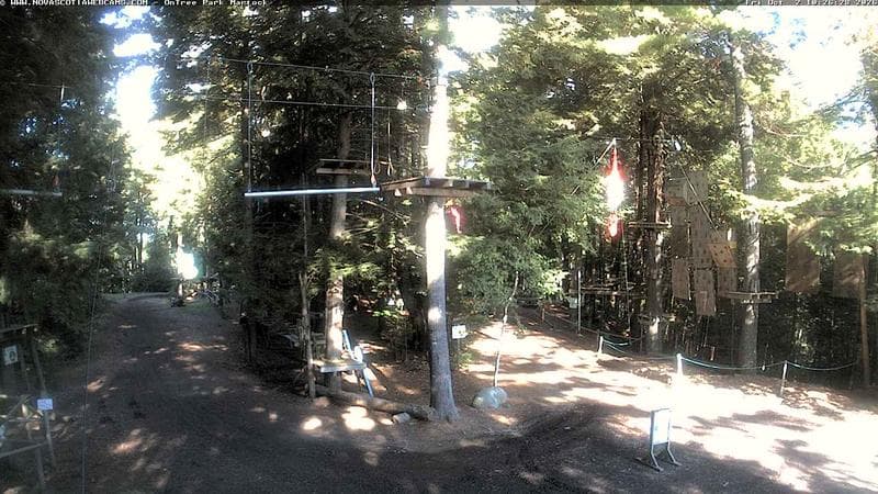 Ontree Park