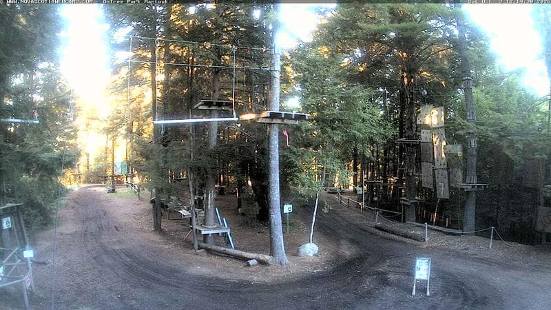 Ontree Park