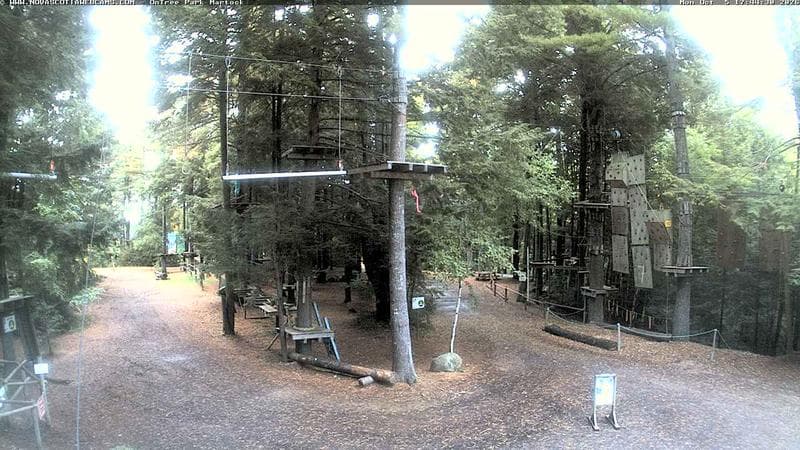 Ontree Park