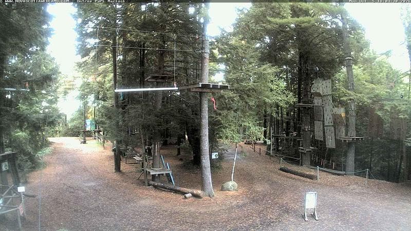 Ontree Park