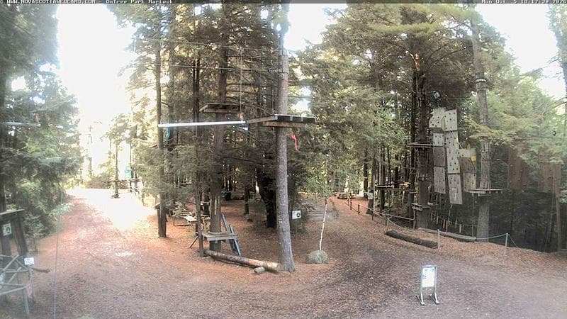 Ontree Park