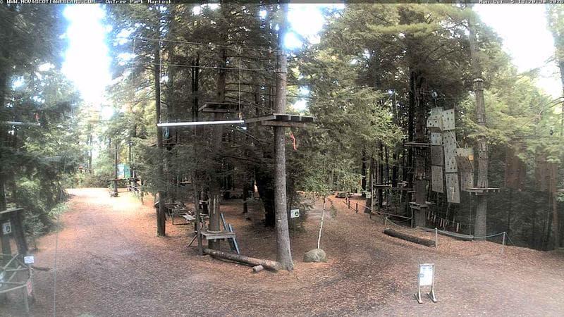 Ontree Park