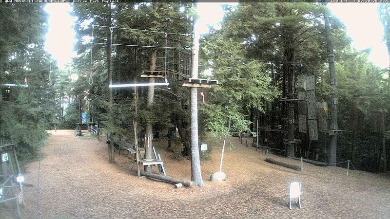 Ontree Park