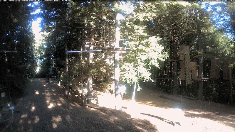 Ontree Park