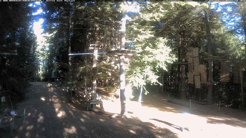 Ontree Park